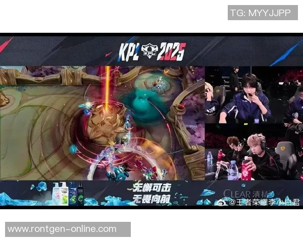 王者荣耀巨献：深入解析JDG战队灵活性背后的战术与策略